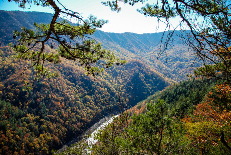 TENNESSEE-SHINBONETRAIL-20081102_44-3