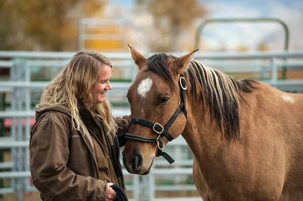 The Language of Equus promo image