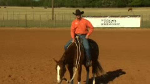 The One-Rein Stop promo image