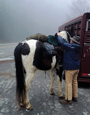 TOLLIVER_TRAILRIDING_TTR_NOV