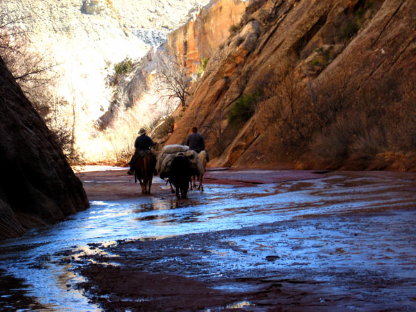 Trail Ride in Southern Utah promo image