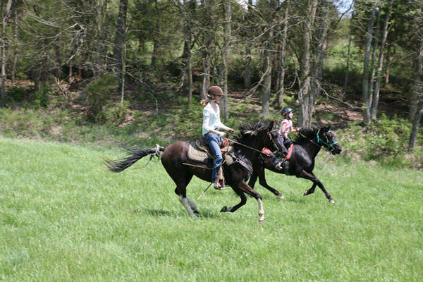 Trail Ride Kentucky with Equitrekking promo image