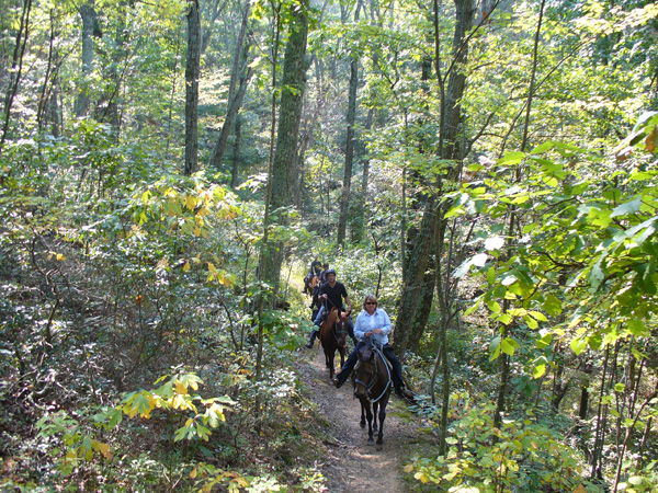 Trail Riding at Fort Valley Ranch, Virginia promo image