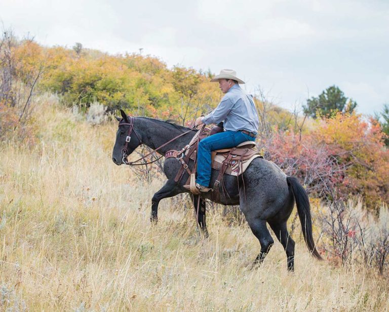 trail-tack-hr180400-01