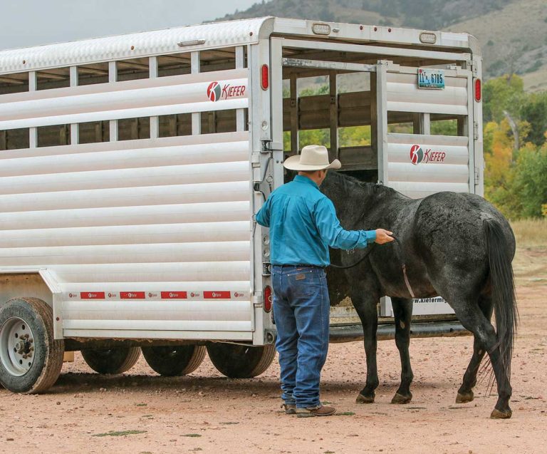 trailering-hr180100-01