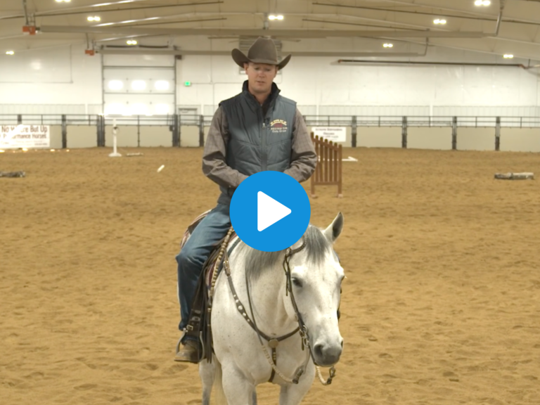 Untitled design (32)