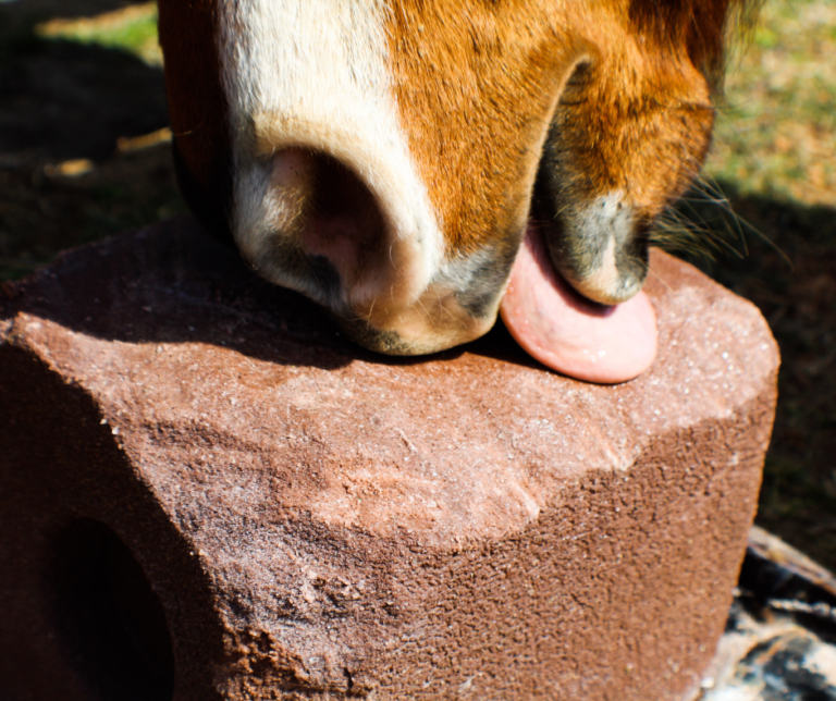 Untitled design (41)