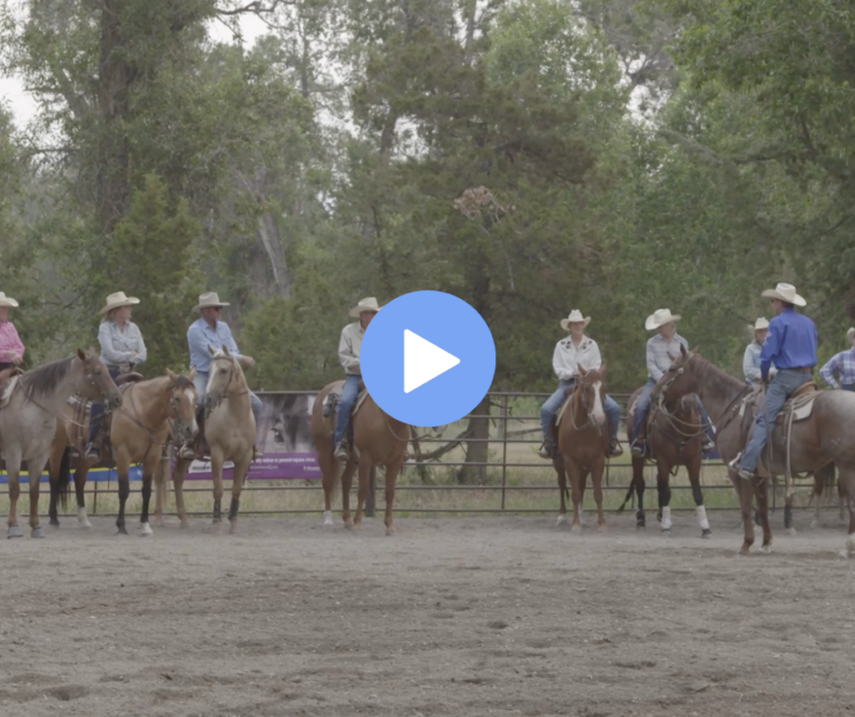 Untitled design (57)