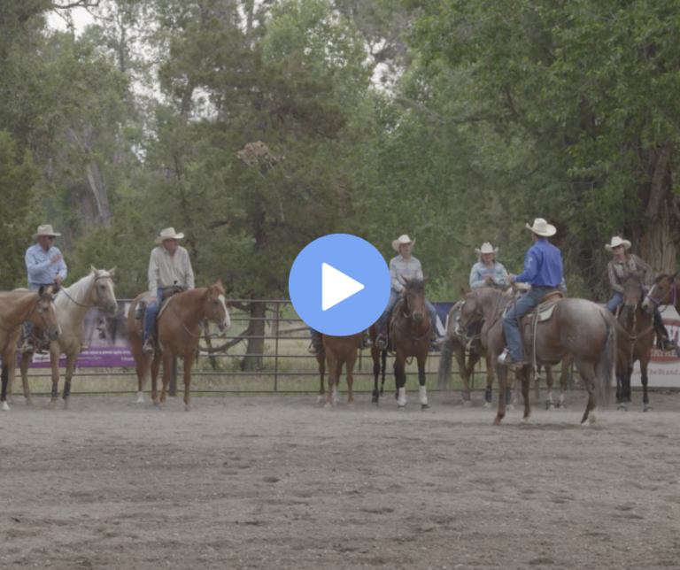 Untitled design (62)