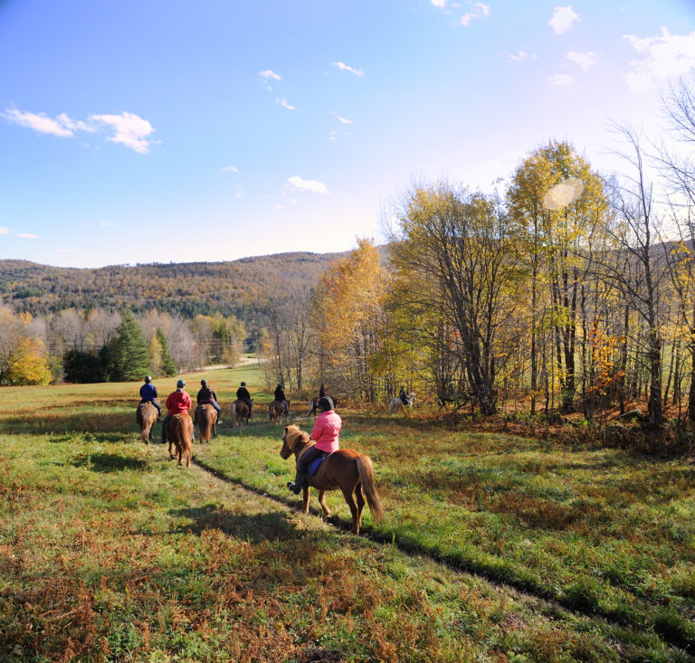 VERMONT-ICELANDIC-CLIX