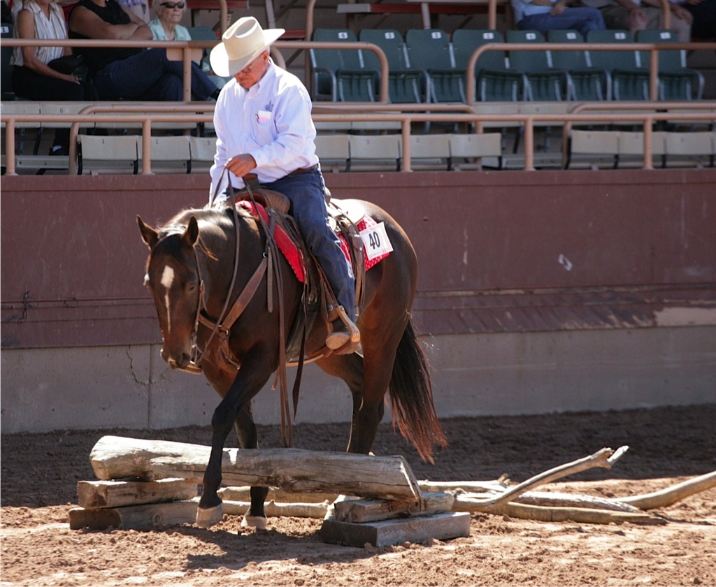 Versatility Ranch Horse Competition promo image