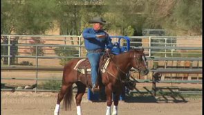 Video: Flying Lead Change Prep from Western Trainer Al Dunning promo image