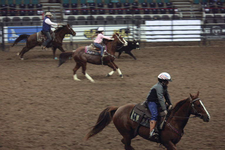 Video: Team Penning Explained promo image