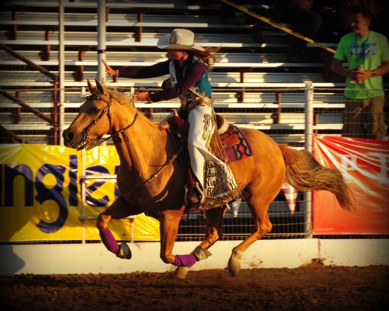 We Practice What We Preach promo image