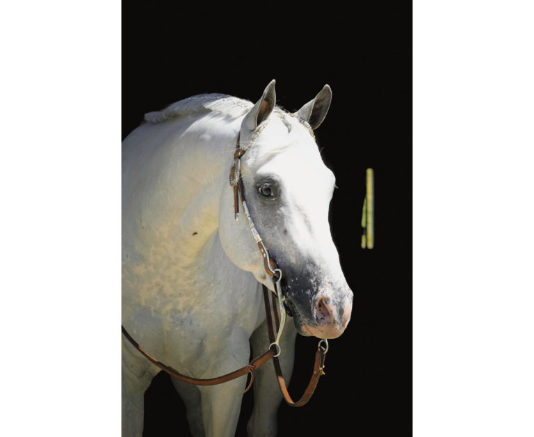 We'd Love to Own: LVO Respects Poco Bien promo image