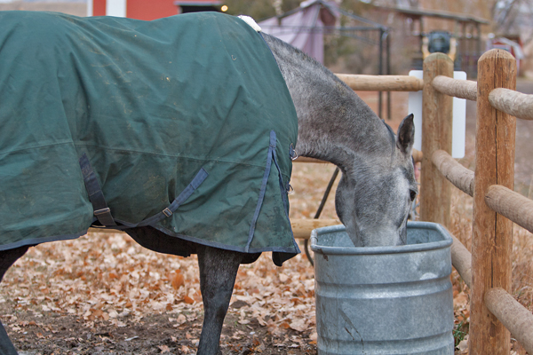 weekly tip to do list