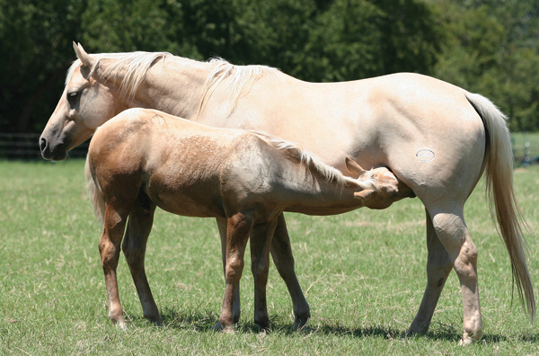 weekly tip to do march