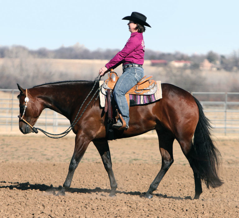 Western Pleasure: First, Be Correct promo image