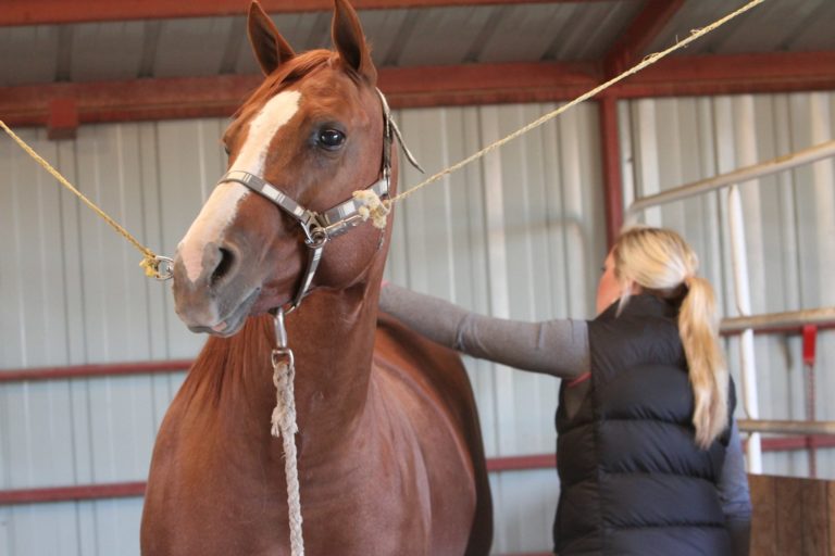 What's Normal? promo image