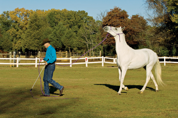 'What's the Rush?' promo image