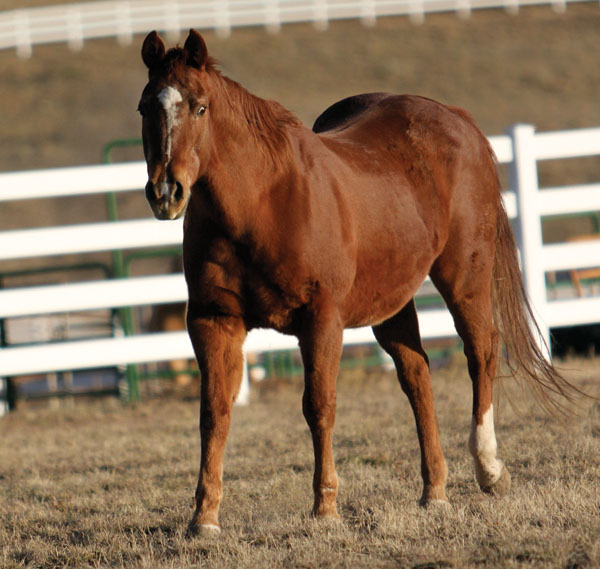 When to Be Stingy With Food promo image
