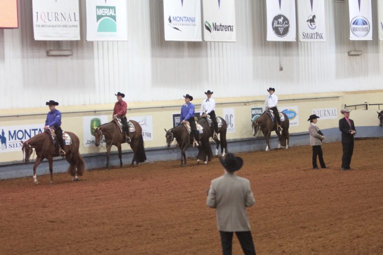 World Show Update: Three More World Champions Crowned promo image