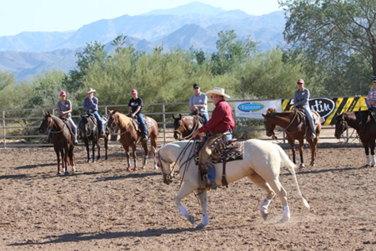 You Want Video? You Got It! promo image