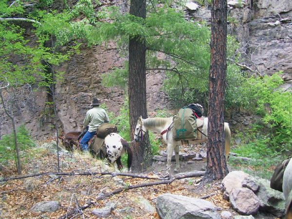 Your Trail Story: Trail Riding in New Mexico promo image