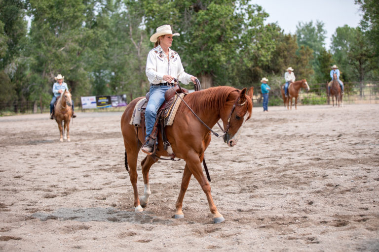A rider learns how to use her reins on a chestnut horse