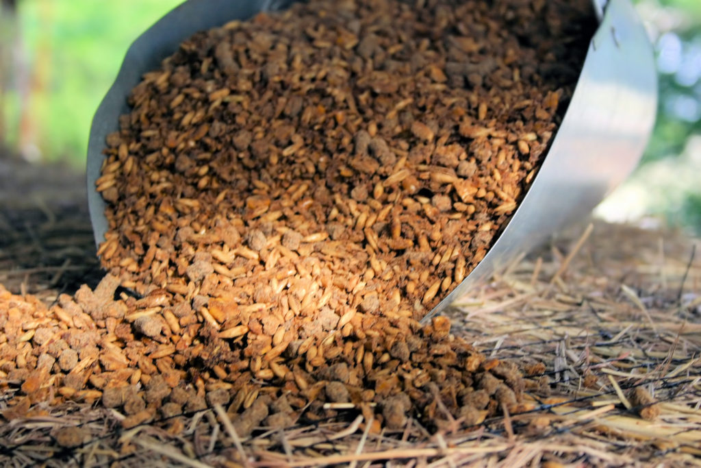 A scoop full of horse grain spills onto the ground.