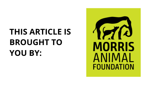 Brought to you by Morris Animal Foundation