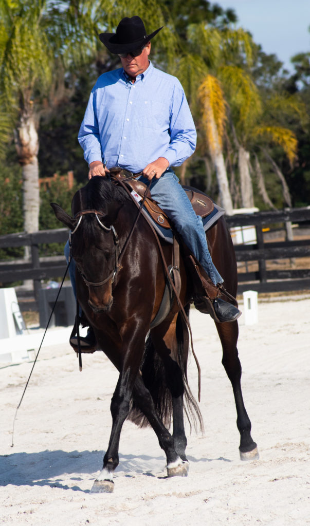 Tim Christensen rides a bay mare in Western dressage.