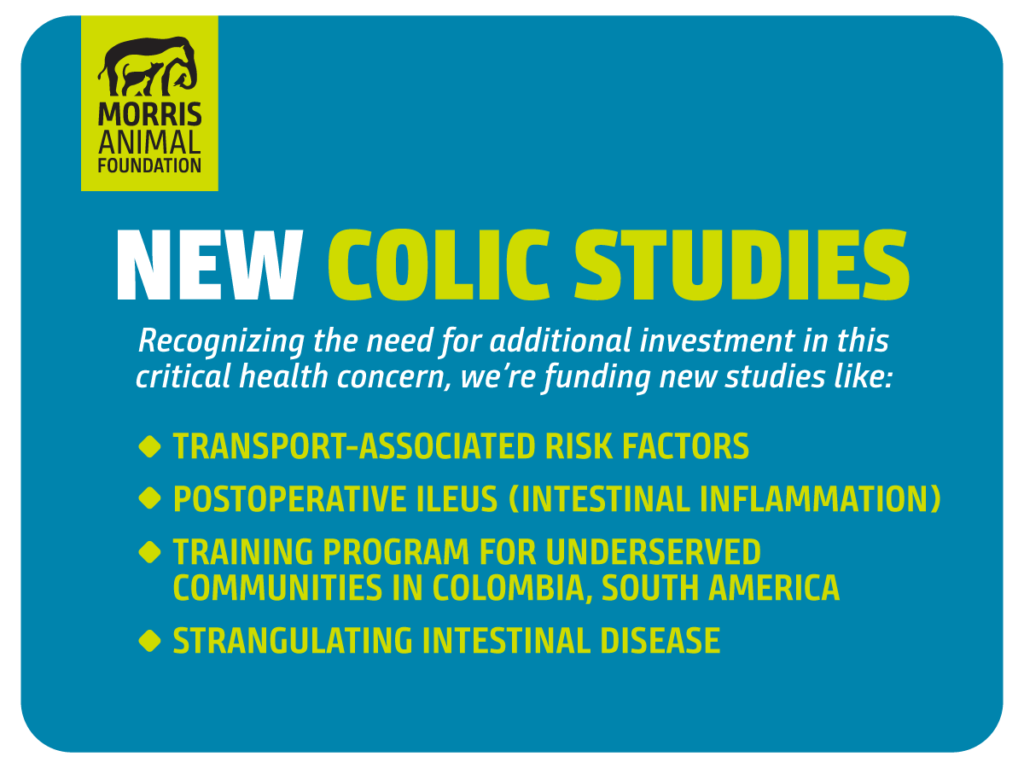 New Colic Studies by Morris Animal Foundation