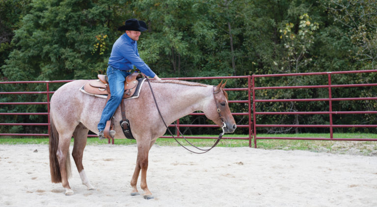 FEAT Winter Riding Fun_01