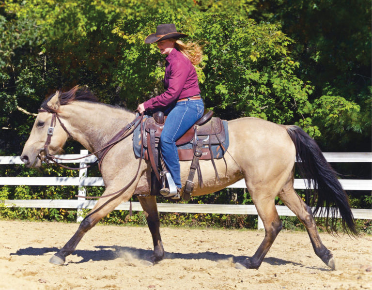 HR-21WIN_Confident Rider_02