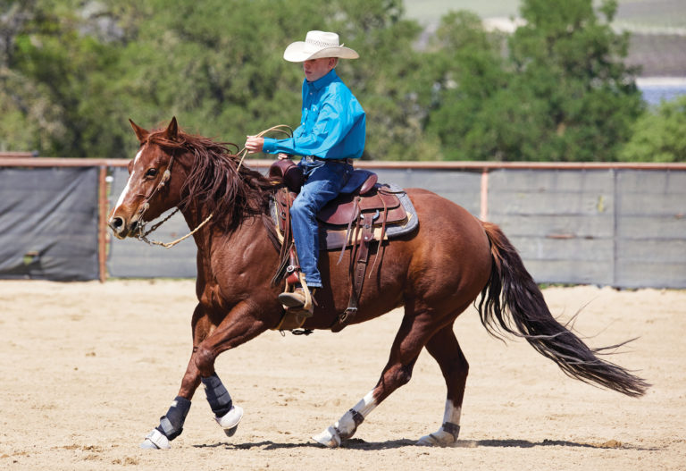 Youth riding a horse.