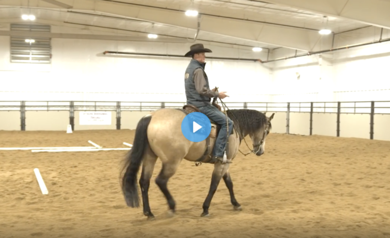 Screen Shot 2021-11-29 at 2.06