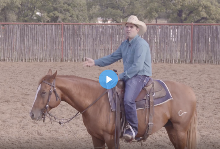 Screen Shot 2021-11-29 at 2.10