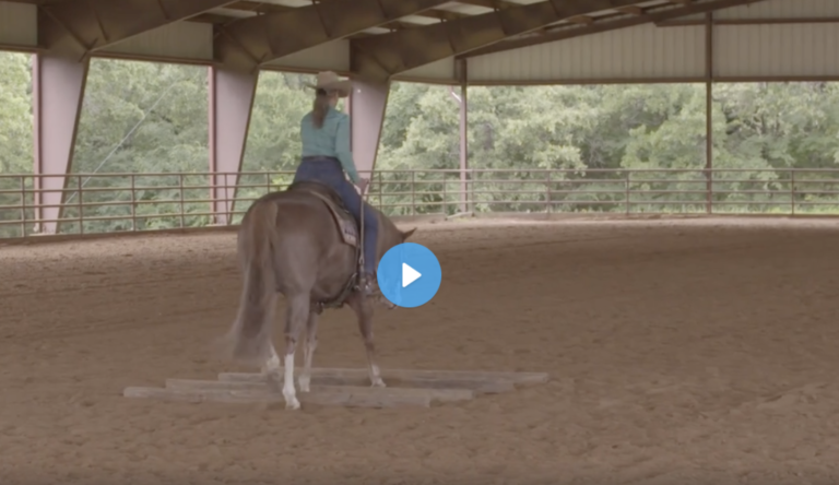 Screen Shot 2021-11-29 at 2.22