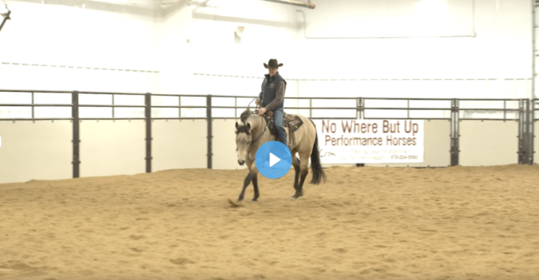 Screen Shot 2021-12-01 at 2.49