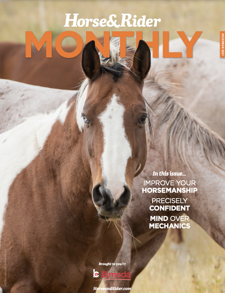 Screen Shot 2021-12-16 at 8.09