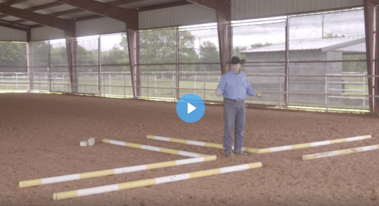 Screen Shot 2021-12-27 at 6.39