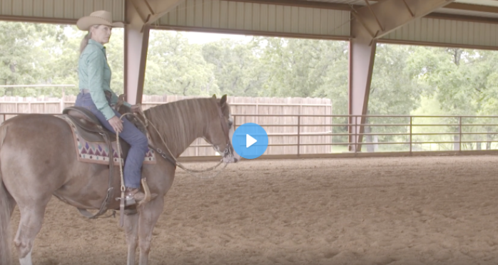 Screen Shot 2021-12-27 at 6.43