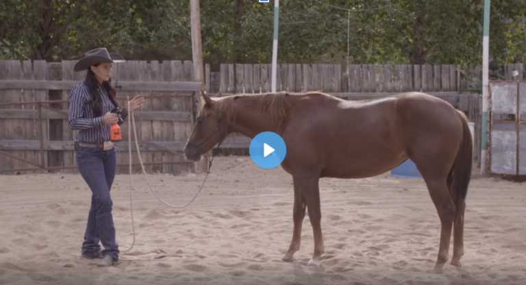 Screen Shot 2021-12-27 at 6.48