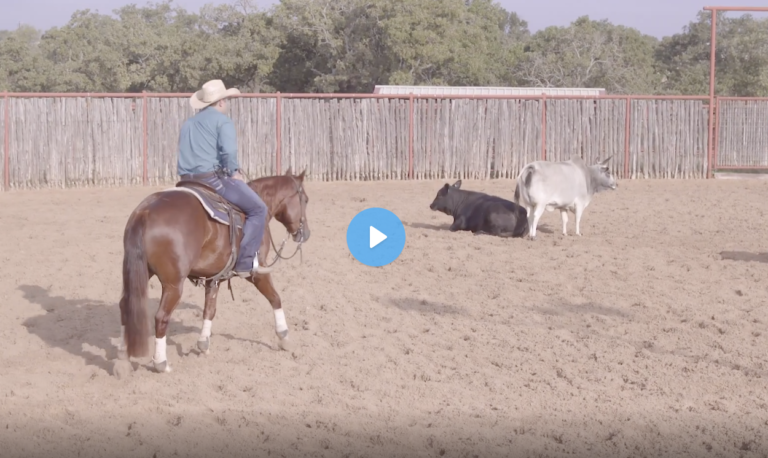 Screen Shot 2022-01-13 at 11.35