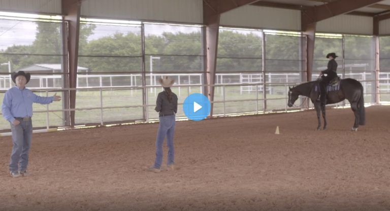 Screen Shot 2022-01-13 at 11.41