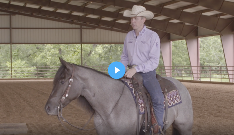 Screen Shot 2022-01-13 at 11.51