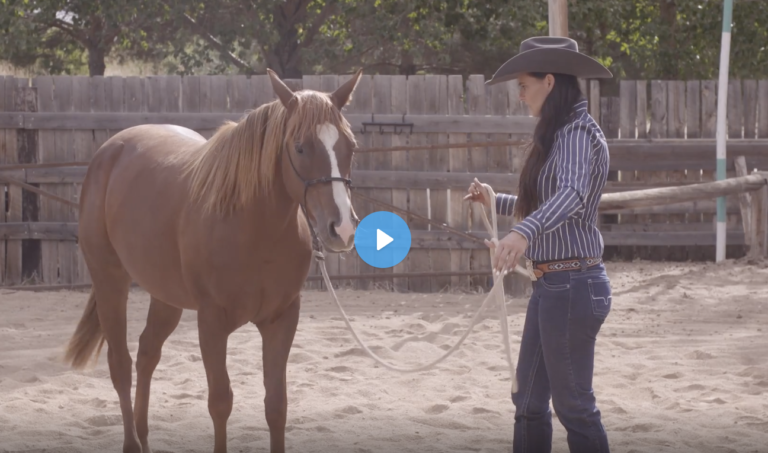 Screen Shot 2022-01-13 at 11.57