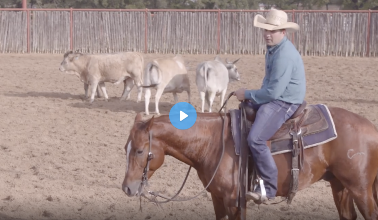 Screen Shot 2022-01-20 at 9.14