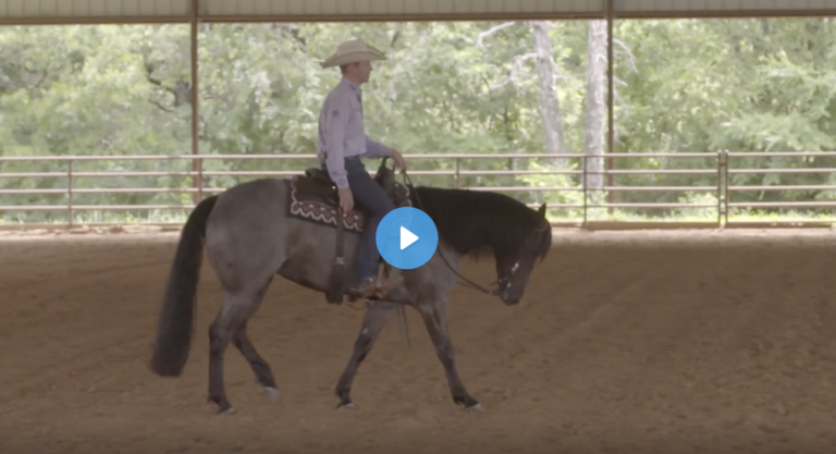 Screen Shot 2022-01-20 at 9.23